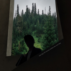 Nice, in the Mean cover art