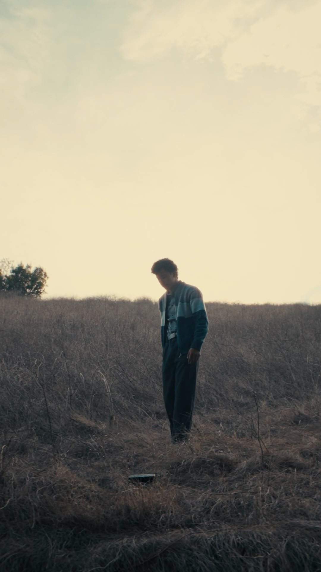 Nahoa standing alone in a dry field at dusk